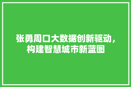 张勇周口大数据创新驱动，构建智慧城市新蓝图
