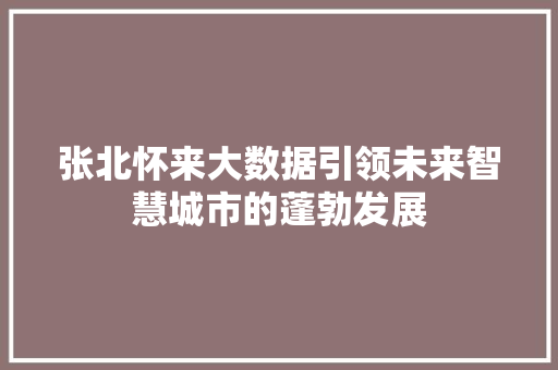 张北怀来大数据引领未来智慧城市的蓬勃发展