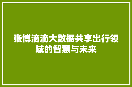 张博滴滴大数据共享出行领域的智慧与未来  第1张