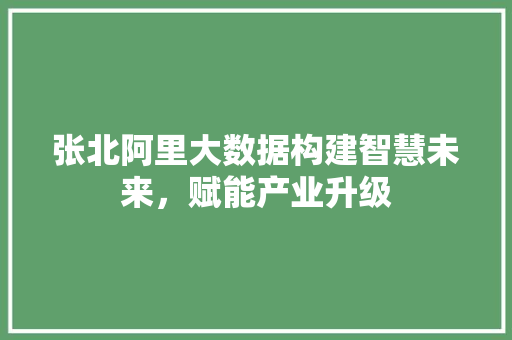 张北阿里大数据构建智慧未来，赋能产业升级