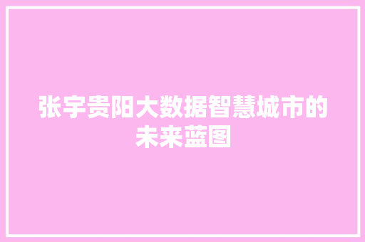 张宇贵阳大数据智慧城市的未来蓝图  第1张