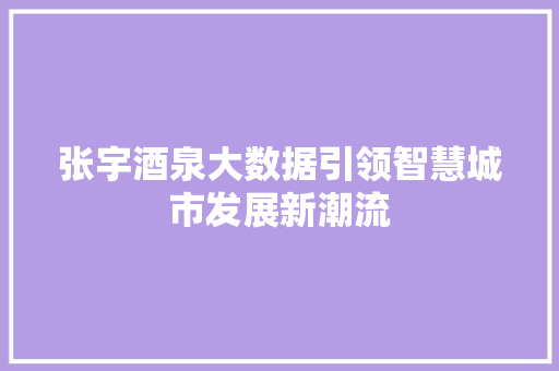张宇酒泉大数据引领智慧城市发展新潮流