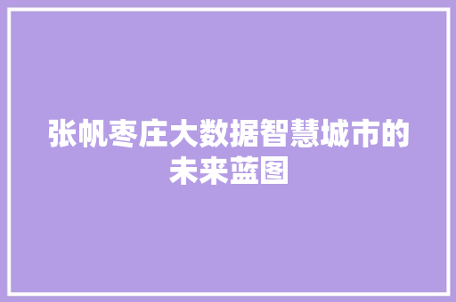 张帆枣庄大数据智慧城市的未来蓝图
