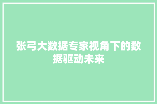 张弓大数据专家视角下的数据驱动未来