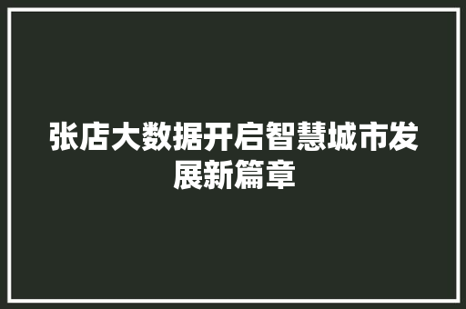 张店大数据开启智慧城市发展新篇章