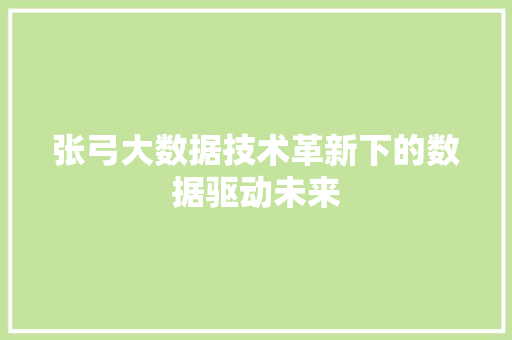 张弓大数据技术革新下的数据驱动未来