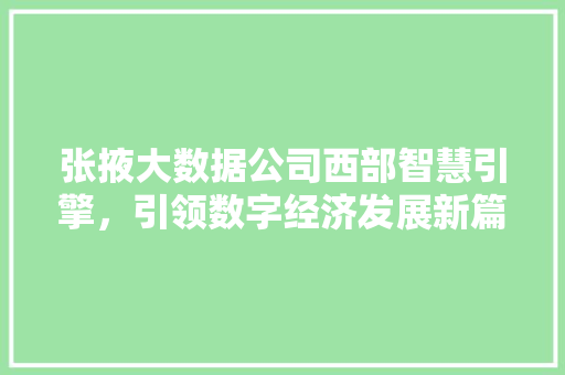张掖大数据公司西部智慧引擎，引领数字经济发展新篇章