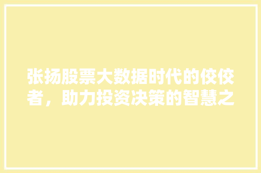 张扬股票大数据时代的佼佼者，助力投资决策的智慧之星
