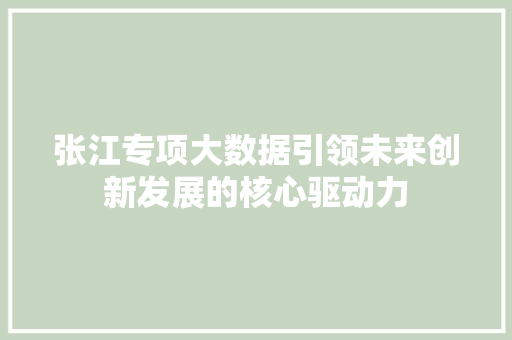 张江专项大数据引领未来创新发展的核心驱动力