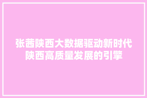 张茜陕西大数据驱动新时代陕西高质量发展的引擎  第1张