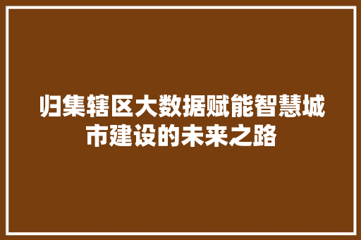 归集辖区大数据赋能智慧城市建设的未来之路