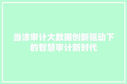 当涂审计大数据创新驱动下的智慧审计新时代