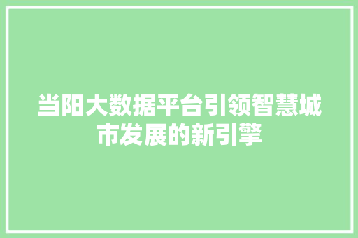 当阳大数据平台引领智慧城市发展的新引擎