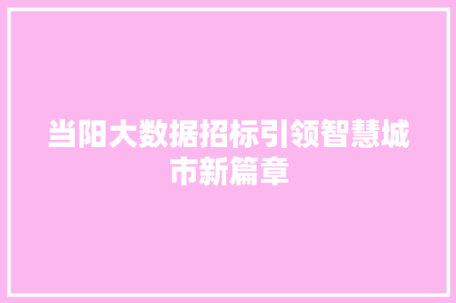 当阳大数据招标引领智慧城市新篇章