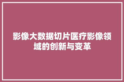 影像大数据切片医疗影像领域的创新与变革