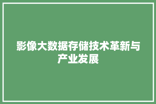 影像大数据存储技术革新与产业发展  第1张
