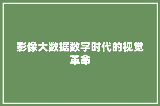 影像大数据数字时代的视觉革命