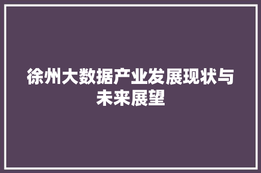 徐州大数据产业发展现状与未来展望
