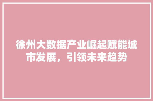 徐州大数据产业崛起赋能城市发展，引领未来趋势  第1张
