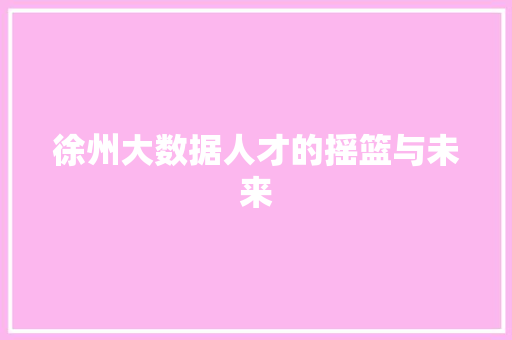 徐州大数据人才的摇篮与未来  第1张