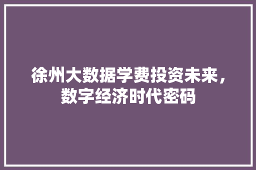 徐州大数据学费投资未来，数字经济时代密码  第1张