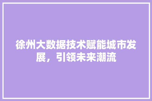 徐州大数据技术赋能城市发展，引领未来潮流  第1张