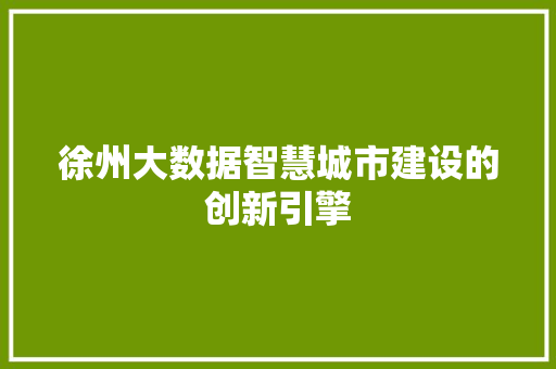 徐州大数据智慧城市建设的创新引擎  第1张