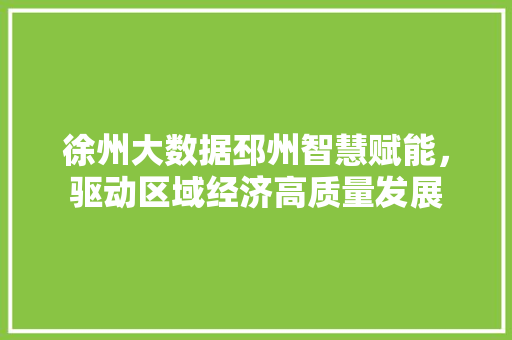 徐州大数据邳州智慧赋能，驱动区域经济高质量发展