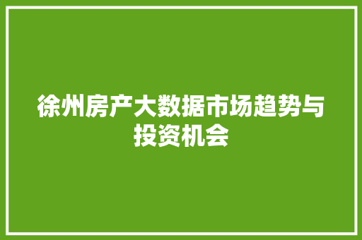 徐州房产大数据市场趋势与投资机会  第1张
