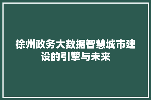 徐州政务大数据智慧城市建设的引擎与未来  第1张