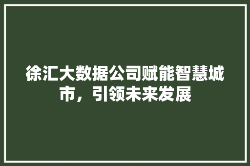 徐汇大数据公司赋能智慧城市，引领未来发展