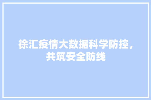 徐汇疫情大数据科学防控，共筑安全防线  第1张