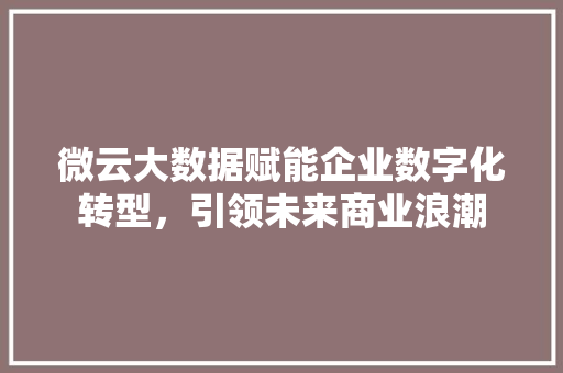 微云大数据赋能企业数字化转型，引领未来商业浪潮