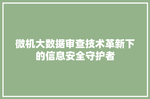 微机大数据审查技术革新下的信息安全守护者