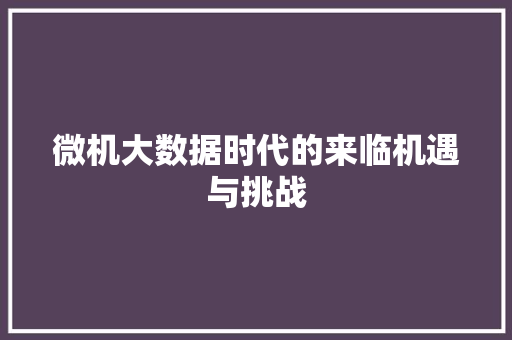 微机大数据时代的来临机遇与挑战