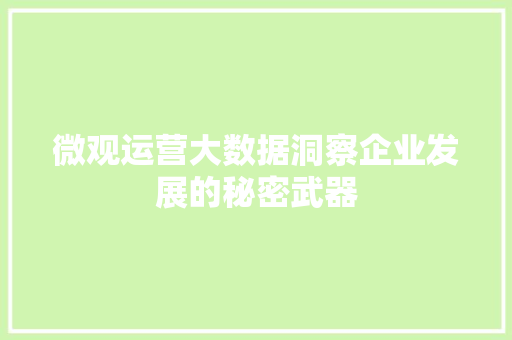 微观运营大数据洞察企业发展的秘密武器  第1张