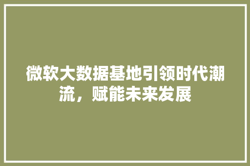 微软大数据基地引领时代潮流，赋能未来发展  第1张