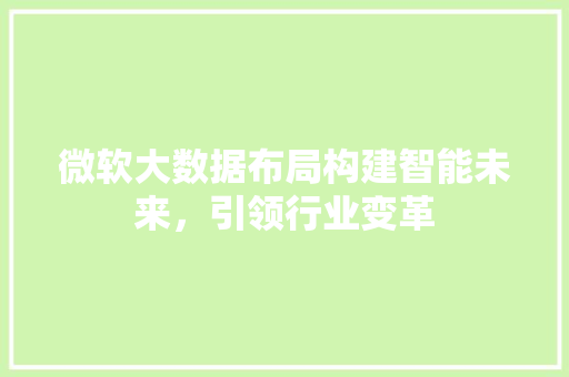 微软大数据布局构建智能未来，引领行业变革  第1张