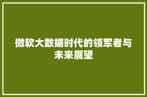微软大数据时代的领军者与未来展望  第1张