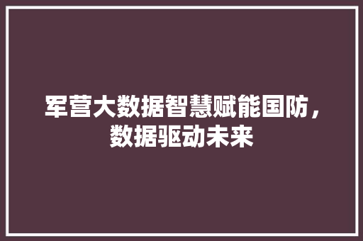 军营大数据智慧赋能国防，数据驱动未来