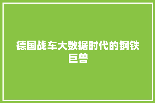 德国战车大数据时代的钢铁巨兽