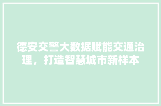德安交警大数据赋能交通治理，打造智慧城市新样本