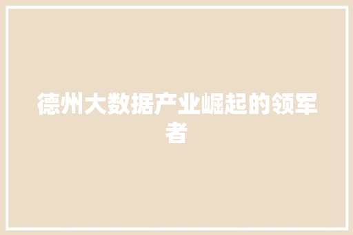 德州大数据产业崛起的领军者  第1张