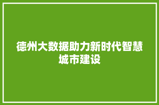 德州大数据助力新时代智慧城市建设