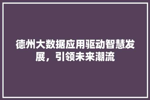 德州大数据应用驱动智慧发展，引领未来潮流  第1张