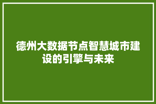 德州大数据节点智慧城市建设的引擎与未来  第1张