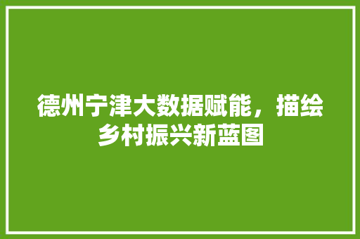 德州宁津大数据赋能，描绘乡村振兴新蓝图  第1张