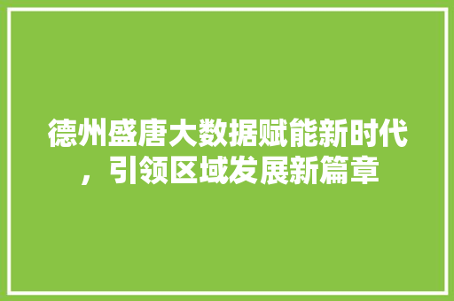 德州盛唐大数据赋能新时代，引领区域发展新篇章