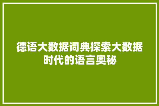 德语大数据词典探索大数据时代的语言奥秘