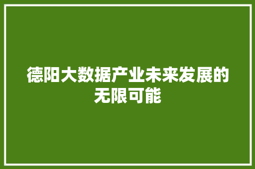 德阳大数据产业未来发展的无限可能